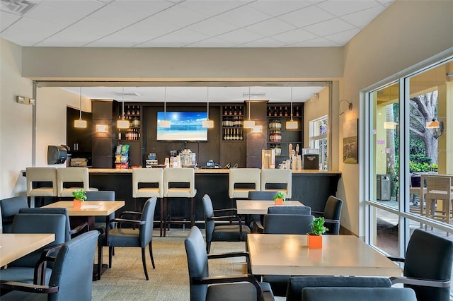 bar with a paneled ceiling, pendant lighting, and carpet