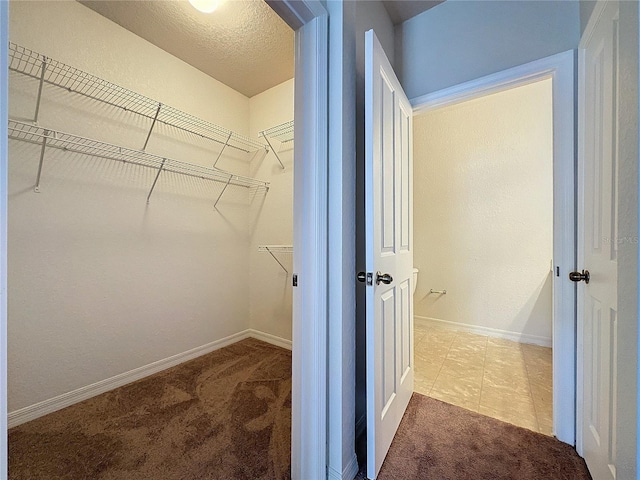 spacious closet featuring carpet