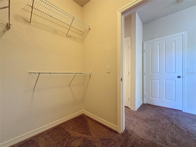 walk in closet with carpet floors