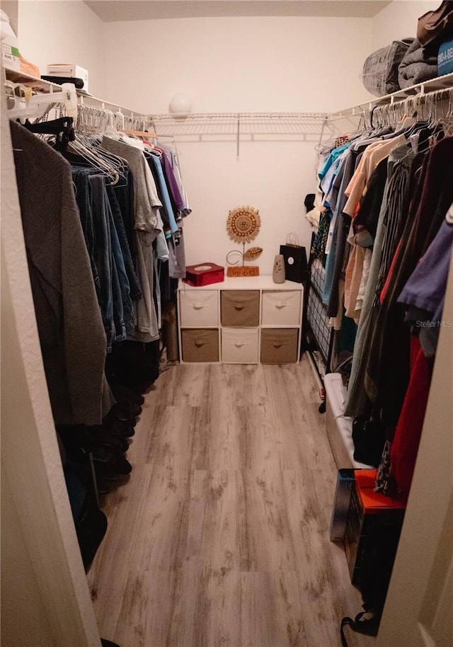 spacious closet featuring light hardwood / wood-style flooring