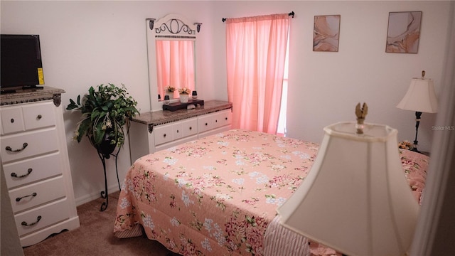 326 Dinner Lake Ct, Lake Wales, FL 33859 - bedroom featuring carpet flooring