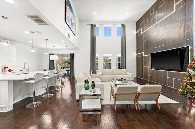 living room featuring sink and dark wood-type flooring