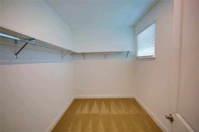 walk in closet featuring light carpet