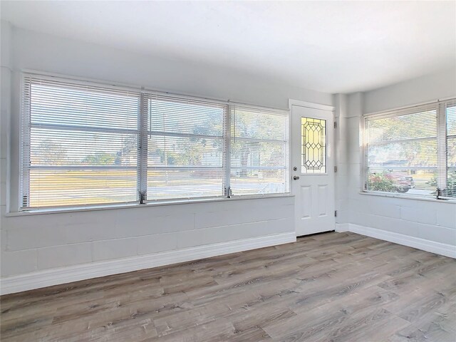 interior space with hardwood / wood-style floors and plenty of natural light