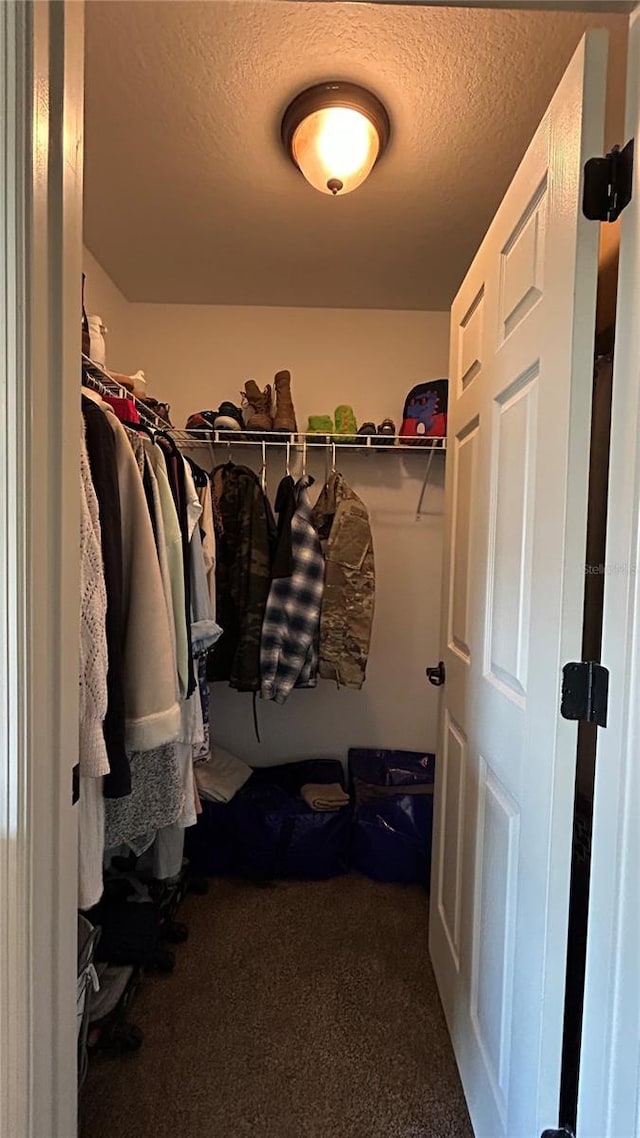 spacious closet with carpet flooring