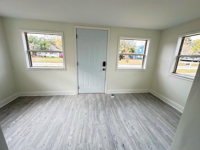 entryway featuring light wood-type flooring and a wealth of natural light