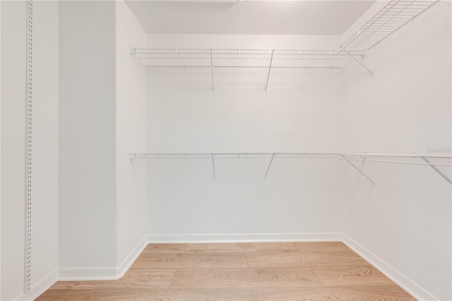 spacious closet with wood-type flooring