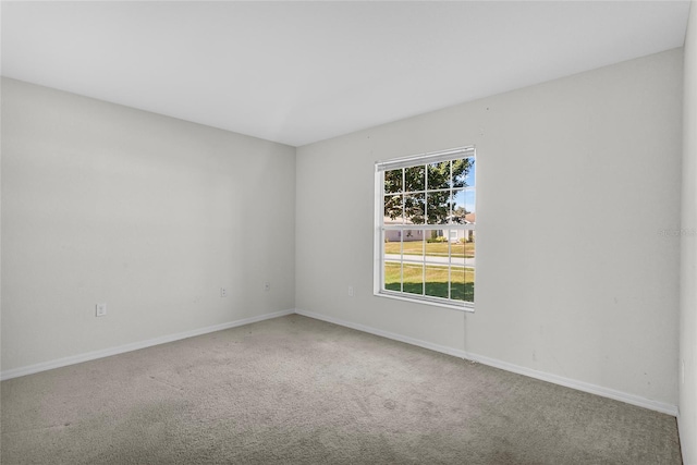 spare room featuring carpet floors