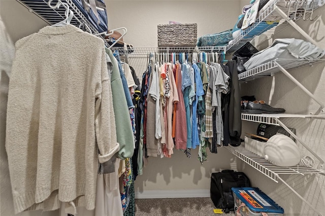 walk in closet with carpet floors