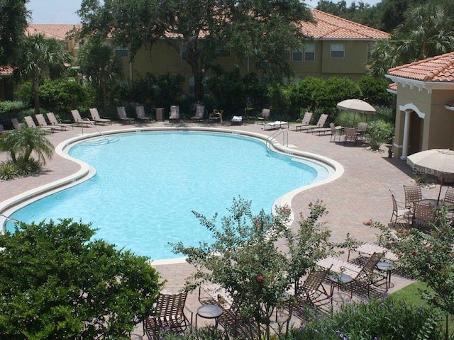 view of pool with a patio