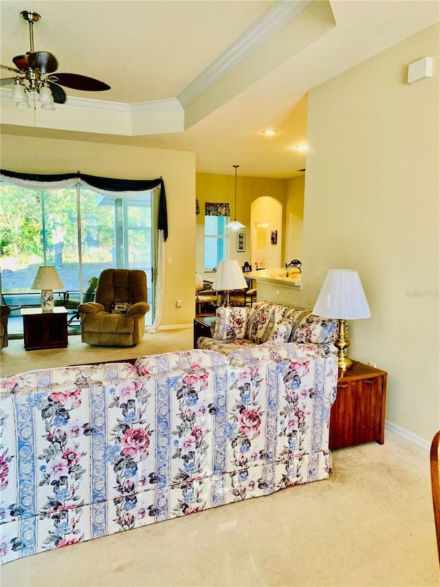 carpeted living room featuring crown molding, ceiling fan, and a raised ceiling