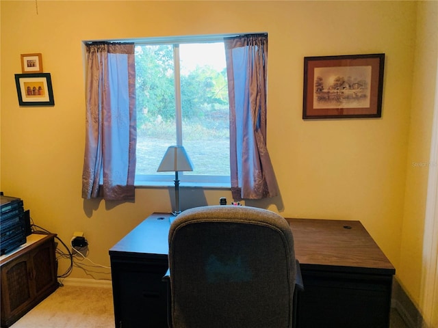 office area featuring light colored carpet and a wealth of natural light