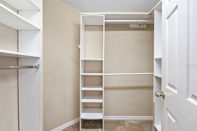 spacious closet with light carpet