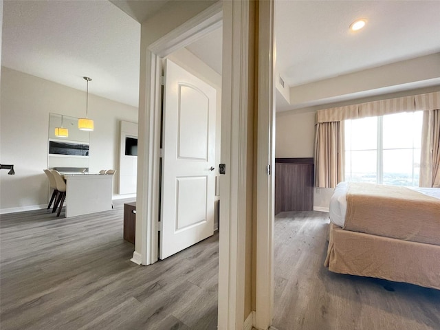 interior space featuring wood-type flooring