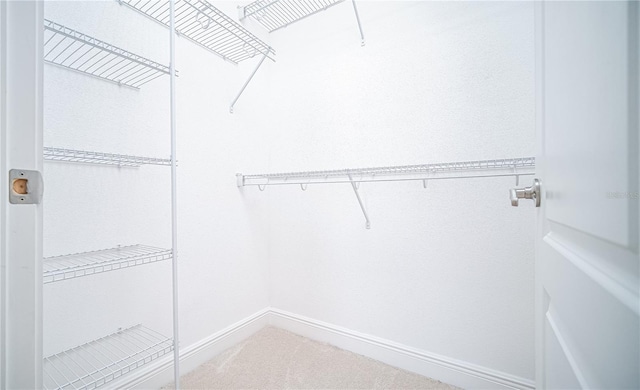 spacious closet with carpet