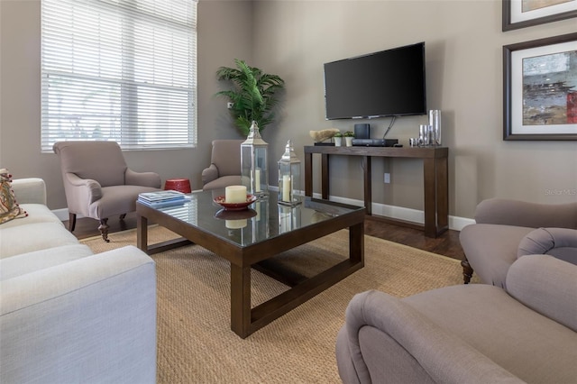 living room with wood-type flooring