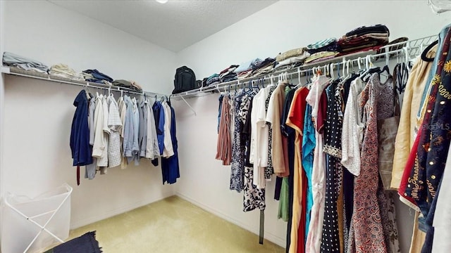 walk in closet featuring carpet flooring