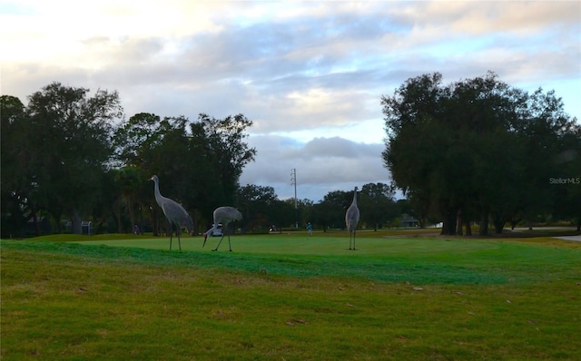 view of home's community with a lawn