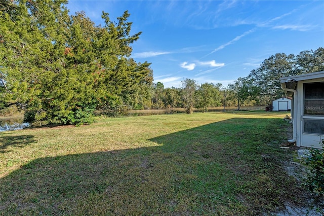 view of yard featuring a shed