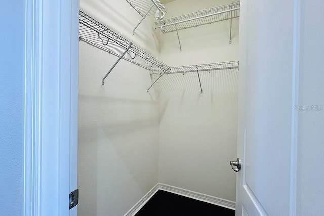 view of walk in closet