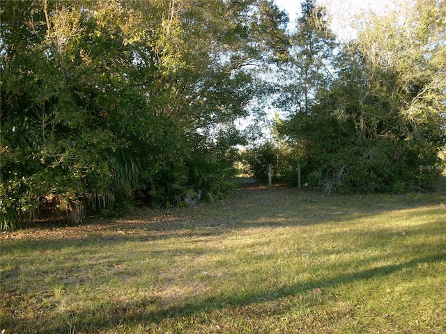 829 Adour Dr, Kissimmee FL, 34759 land for sale