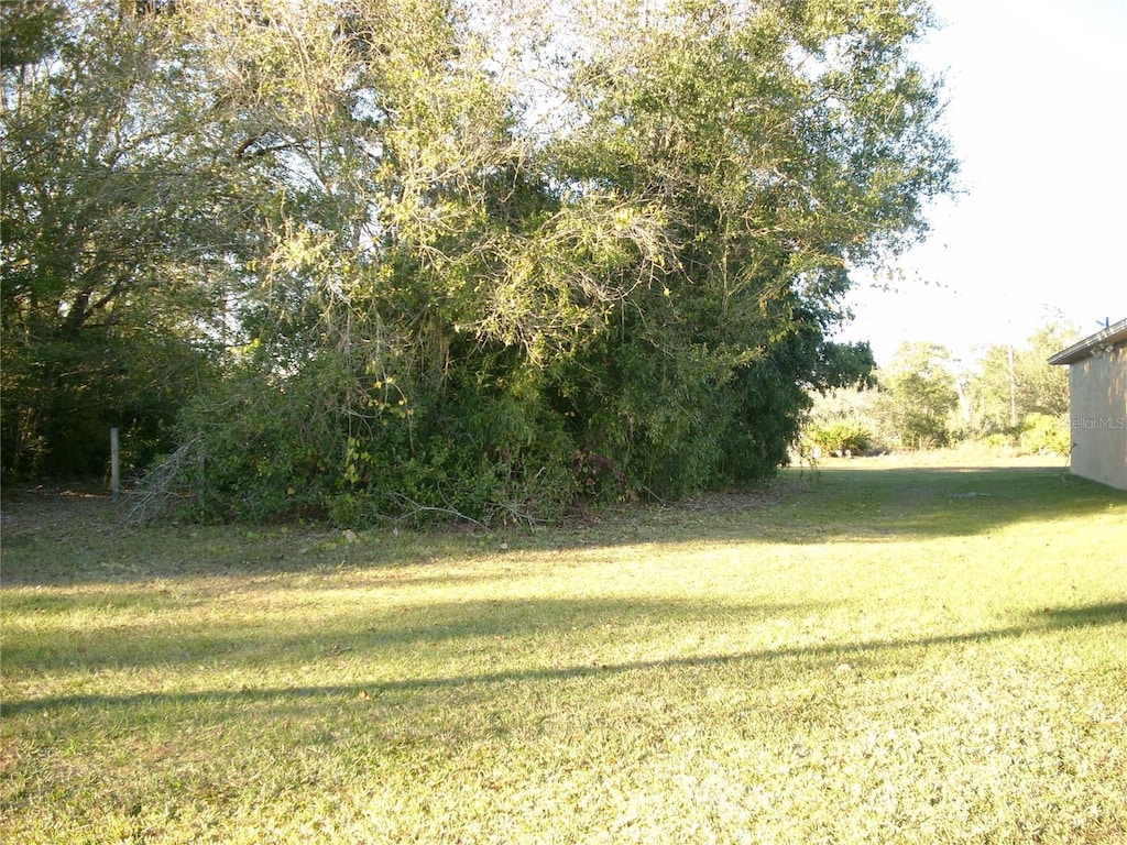 829 Adour Dr, Kissimmee, FL 34759 - photo 4