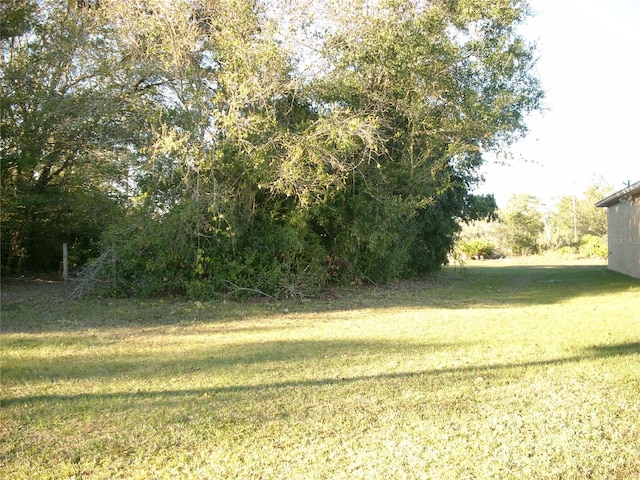 829 Adour Dr, Kissimmee, FL 34759 - photo 4