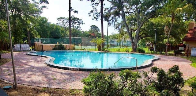 view of swimming pool with a patio