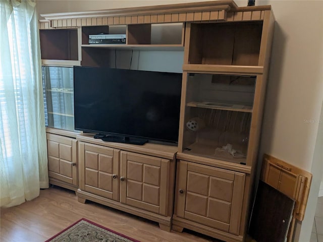 interior details with hardwood / wood-style floors