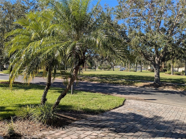 view of community with a yard