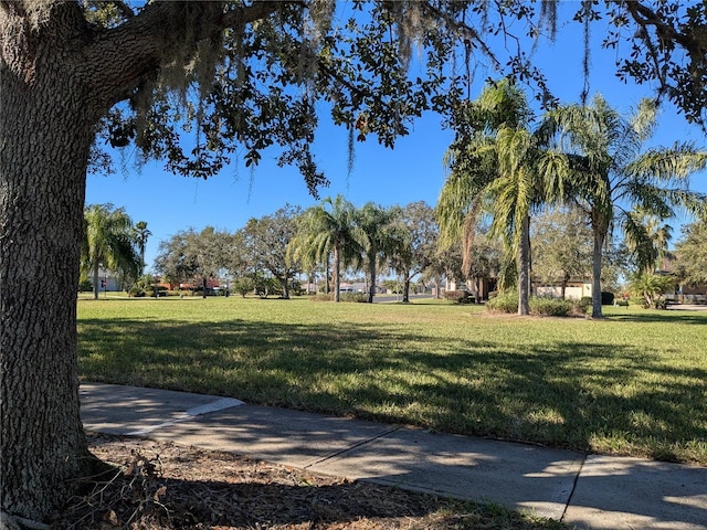 view of property's community with a yard