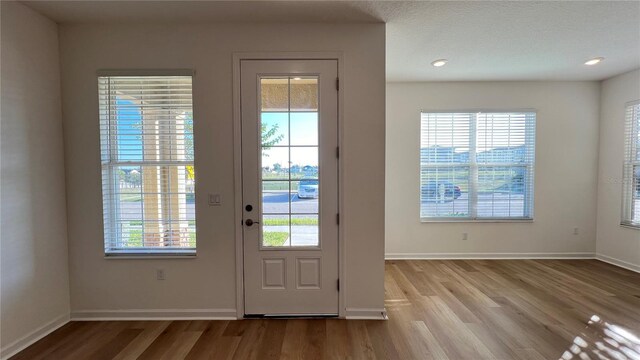 doorway featuring a textured ceiling, light wood-type flooring, and plenty of natural light