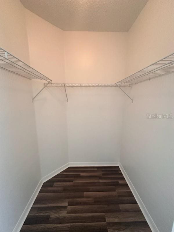 spacious closet featuring dark hardwood / wood-style floors