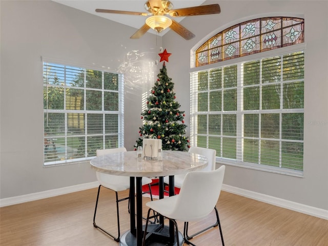 dining room with ceiling fan, plenty of natural light, and light hardwood / wood-style floors