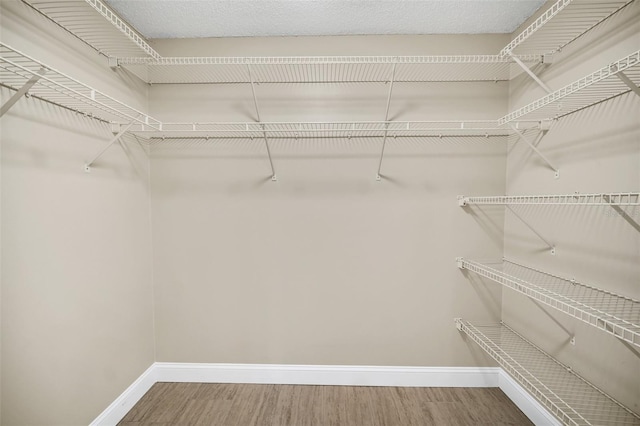 walk in closet with wood-type flooring