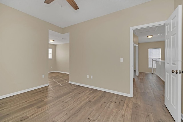 unfurnished room with plenty of natural light, light hardwood / wood-style floors, and ceiling fan