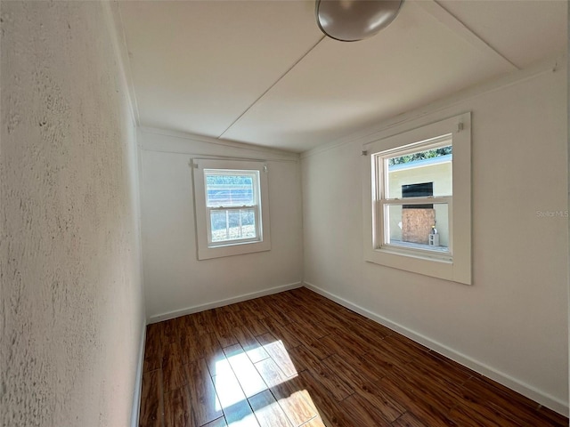 spare room featuring dark hardwood / wood-style flooring and a healthy amount of sunlight