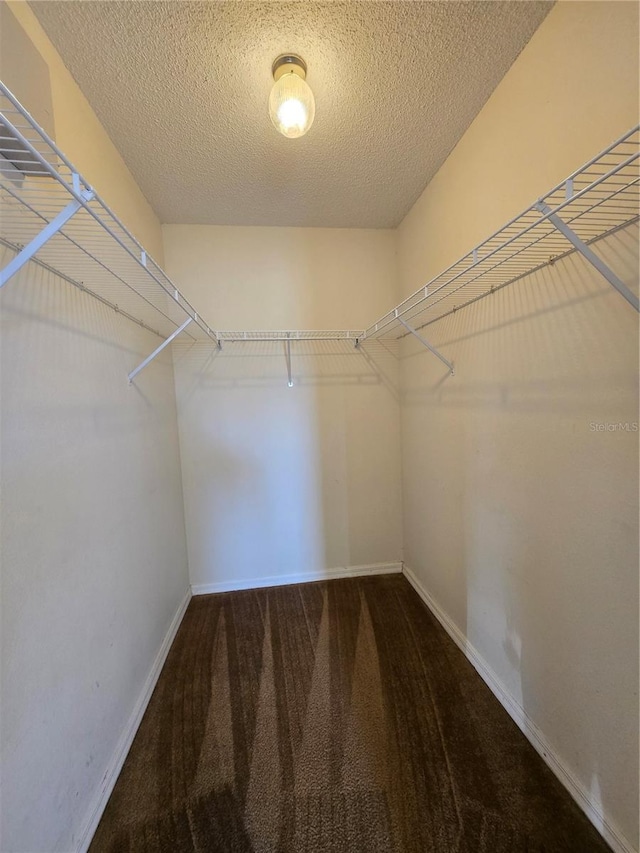 walk in closet featuring dark carpet