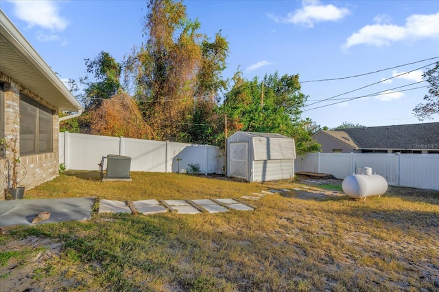 view of yard with a storage unit