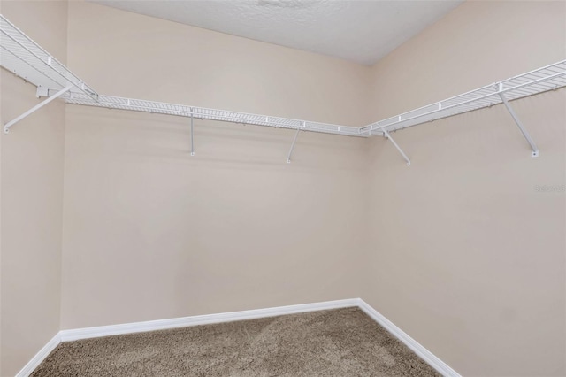 walk in closet with carpet