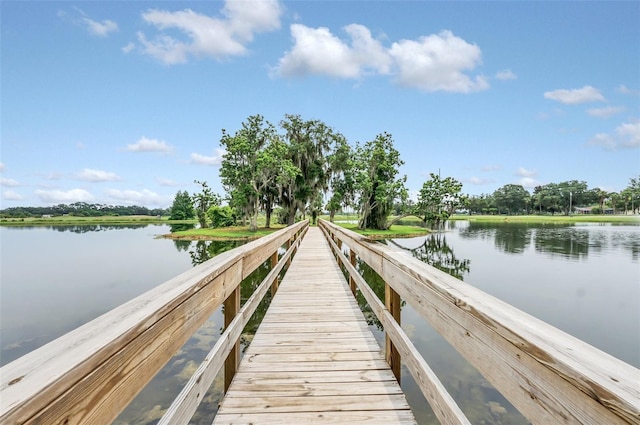 dock area with a water view