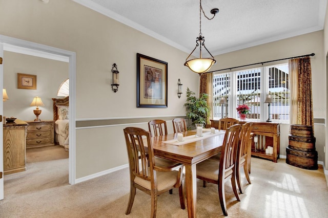 carpeted dining room with crown molding and a textured ceiling