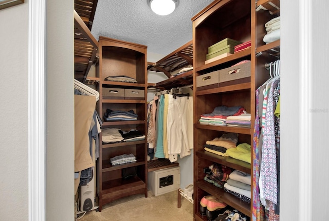 walk in closet with light carpet