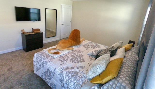 bedroom with carpet flooring