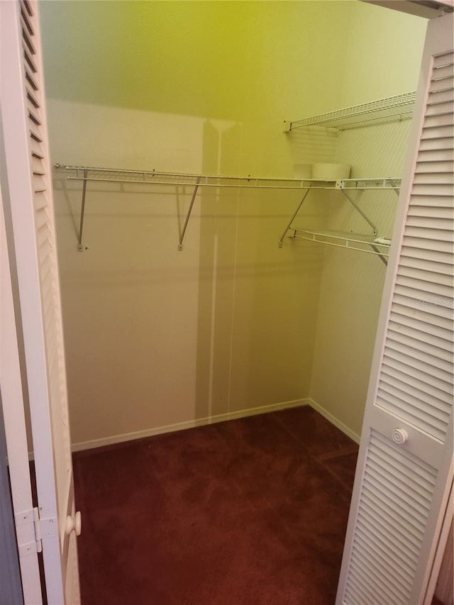 walk in closet with dark colored carpet