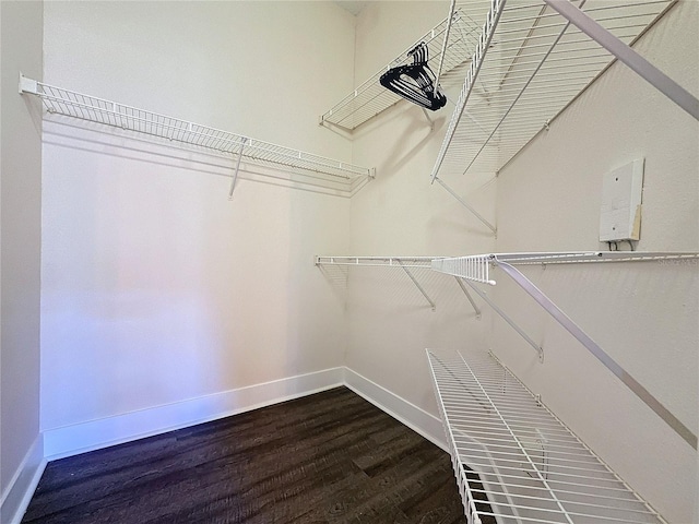 walk in closet featuring hardwood / wood-style flooring