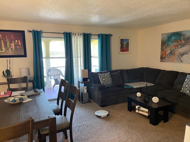 living room with carpet and a textured ceiling