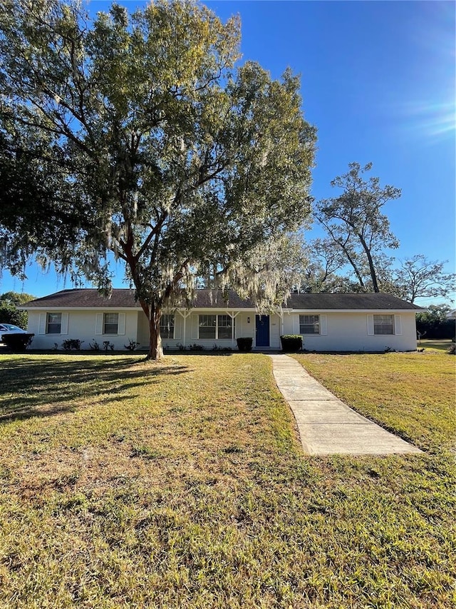 ranch-style house featuring a front yard