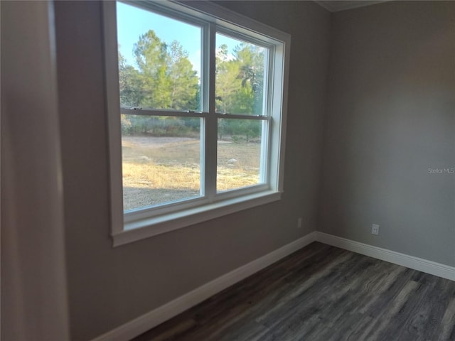 empty room with dark hardwood / wood-style floors and plenty of natural light