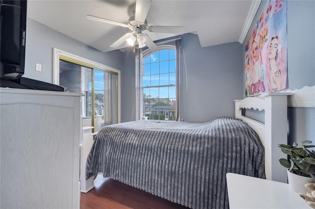 bedroom featuring ceiling fan and dark hardwood / wood-style floors